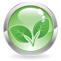Leaf Drop Button vector image