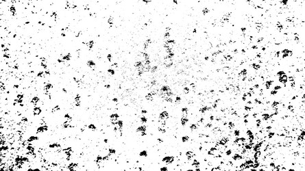 grunge pattern black white texture distress grain vector image