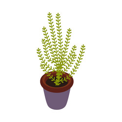 Plant Pot Clip Art at  - vector clip art online, royalty