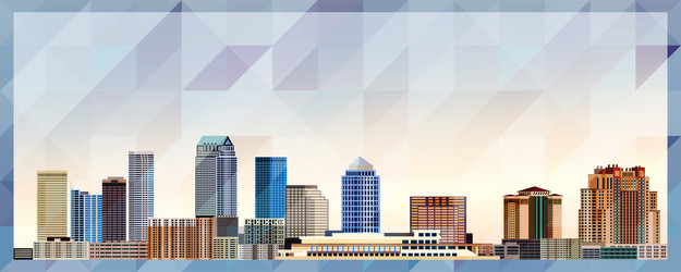 Tampa Skyline at Sunset Vector Image