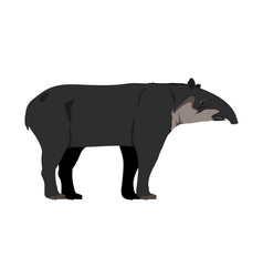 Baird Vector Images (13)