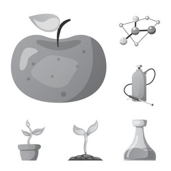 isolated object of and icon collection vector image