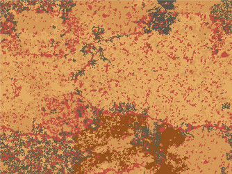 natural rusty texture imitation of rust vector image