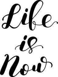 Life is now brush lettering vector