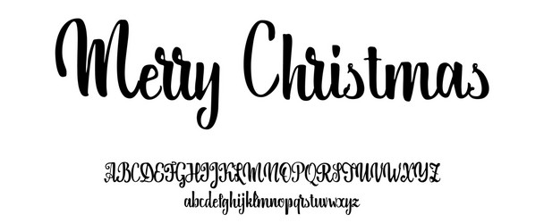 alphabet calligraphic font unique custom vector image
