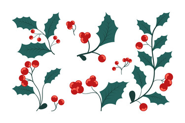 Holly leaves with red berries collection vector