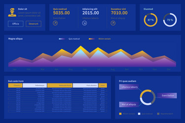 dashboard with infographic elements charts vector