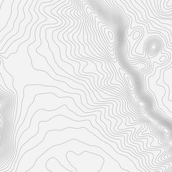 topographic map background concept with space vector image