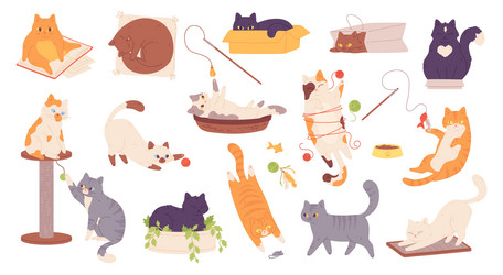 Cute Kitten Playing with Ball vector image