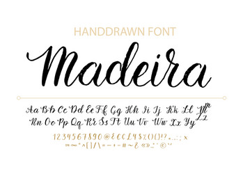 Elegant Brush Script Font - Calligraphy Style vector image