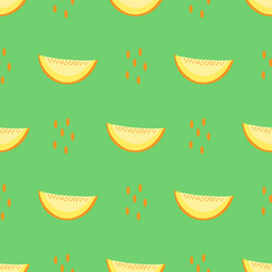 seamless pattern with melon vector image