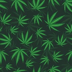 seamless layered pattern of green marijuana vector image