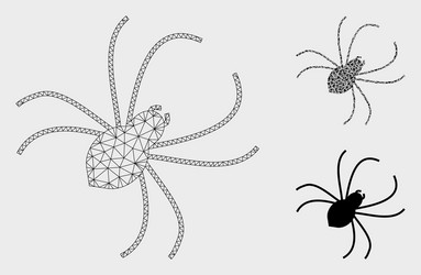 spider mesh network model and triangle vector image