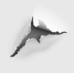 ragged hole torn in ripped paper on background Vector Image