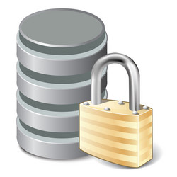 Database Security Lock Icon vector image