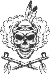 Native American Skull with Feathers Vector Image