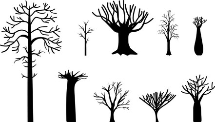 Naked Vector Images (over 16,000)
