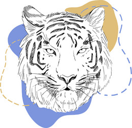 Tiger Sketch with Abstract Forms vector image