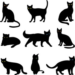 Black Cat Silhouettes Vector Image