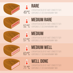 info graphics steak and temperature vector