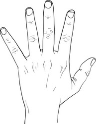 Hand action Royalty Free Vector Image - VectorStock
