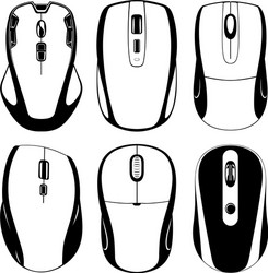 Modern Computer Mouse vector image