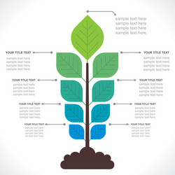 Tree creative info-graphics concept vector