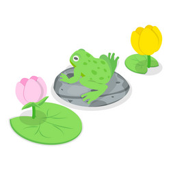 3d isometric flat set of cartoon frogs Vector Image