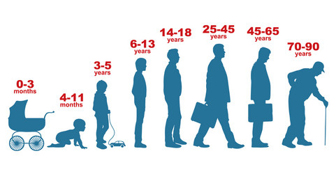 Human age man growing up stages from kid to old Vector Image