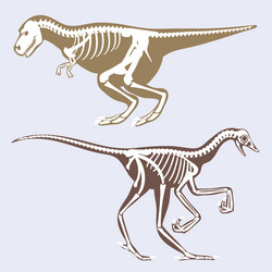 Dinosaurs skeletons silhouettes set fossil bone vector