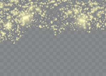 Sparkling magical dust particles the sparks vector