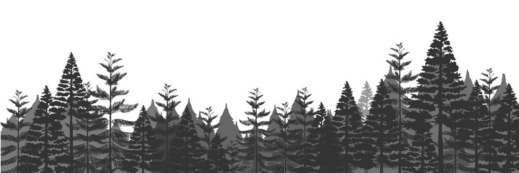 Forest seamless silhouette background pine trees vector