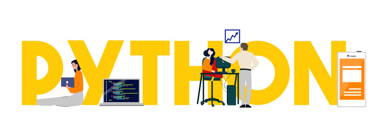 Python Software Development vector image