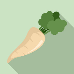 Fresh parsnip icon flat style vector