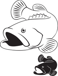 Predatory Fish Illustration Vector Image