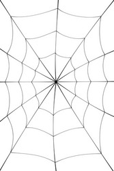 spider web cartoon black cobweb element isolated vector image