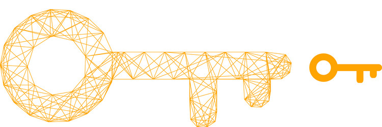 web network key icon vector image