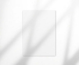 drop shadow overlay effect on blank sheets vector image