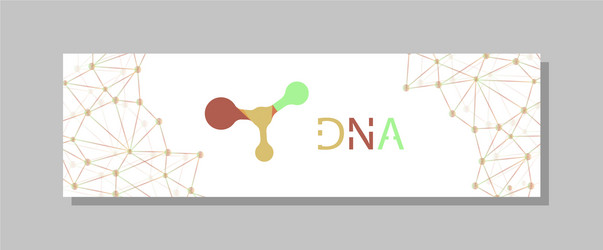 molecular structure with connected lines and dots vector image