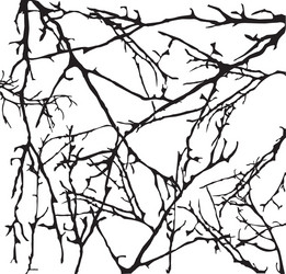 Tree Branch Network vector image