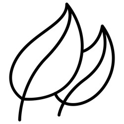 leaf icon in thin line style graphic design vector image