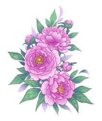 Pink Peony Floral Bunch Vector Image