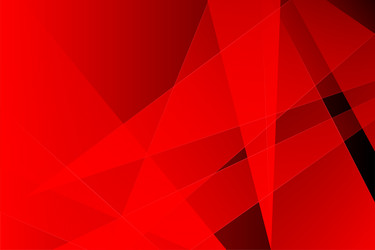 Geometric Red Texture Background vector image