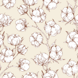 Cotton flower pattern organic blossom nature Vector Image