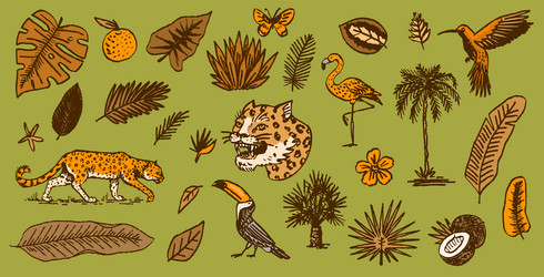 japanese leopard or jaguar with tropical leaves Vector Image