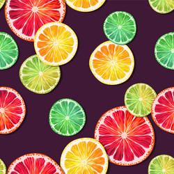 Seamless pattern with lemon lime and grapefruit vector