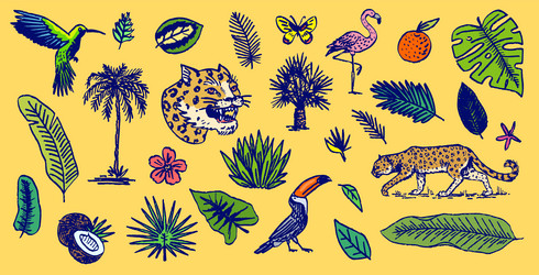 japanese leopard or jaguar with tropical leaves Vector Image