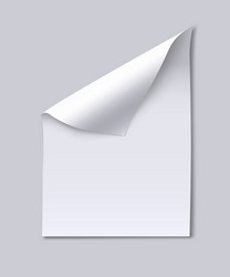 blank paper sheet with page curl vector image
