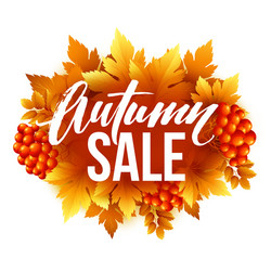 autumn sale lettering design fall leaf label vector