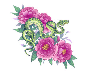 Twisted snake among pink peony flowers vector